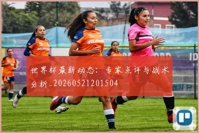 世界杯最新动态：专家点评与战术分析_20260521201504