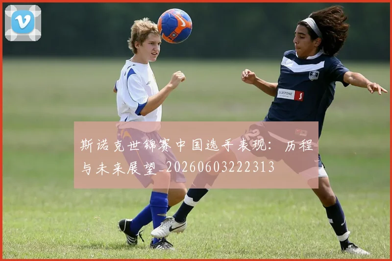 斯诺克世锦赛中国选手表现：历程与未来展望_20260603222313