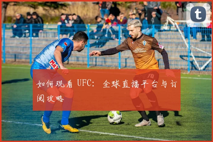 如何观看 UFC：全球直播平台与订阅攻略