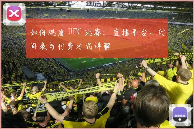 如何观看 UFC 比赛:直播平台、时间表与付费方式详解